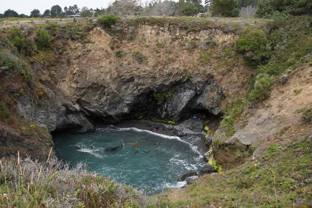 Beach Below the Bridge