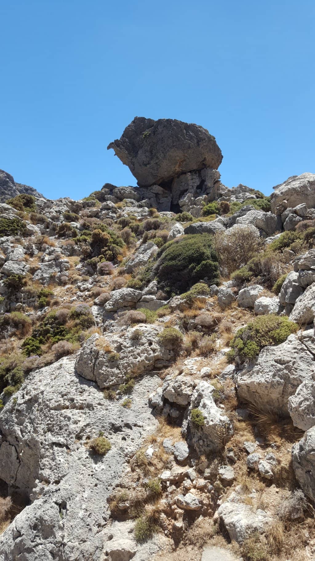 Vertical photo