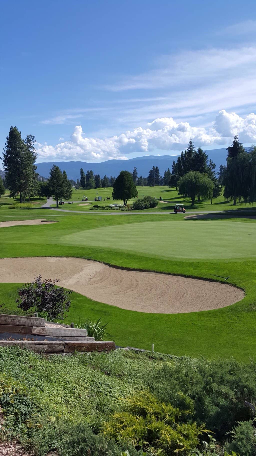 Well-Maintained Greens