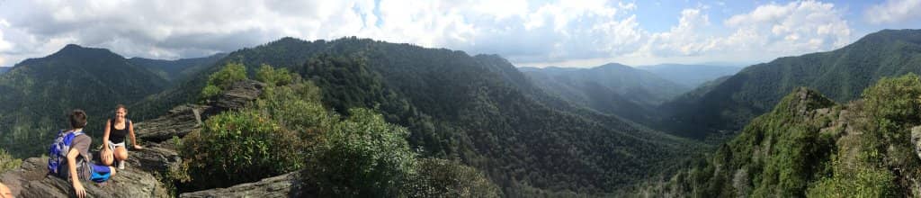 Autumn Foliage Spectacle