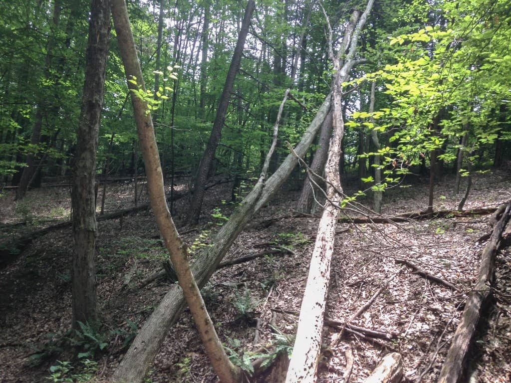 Vertical photo