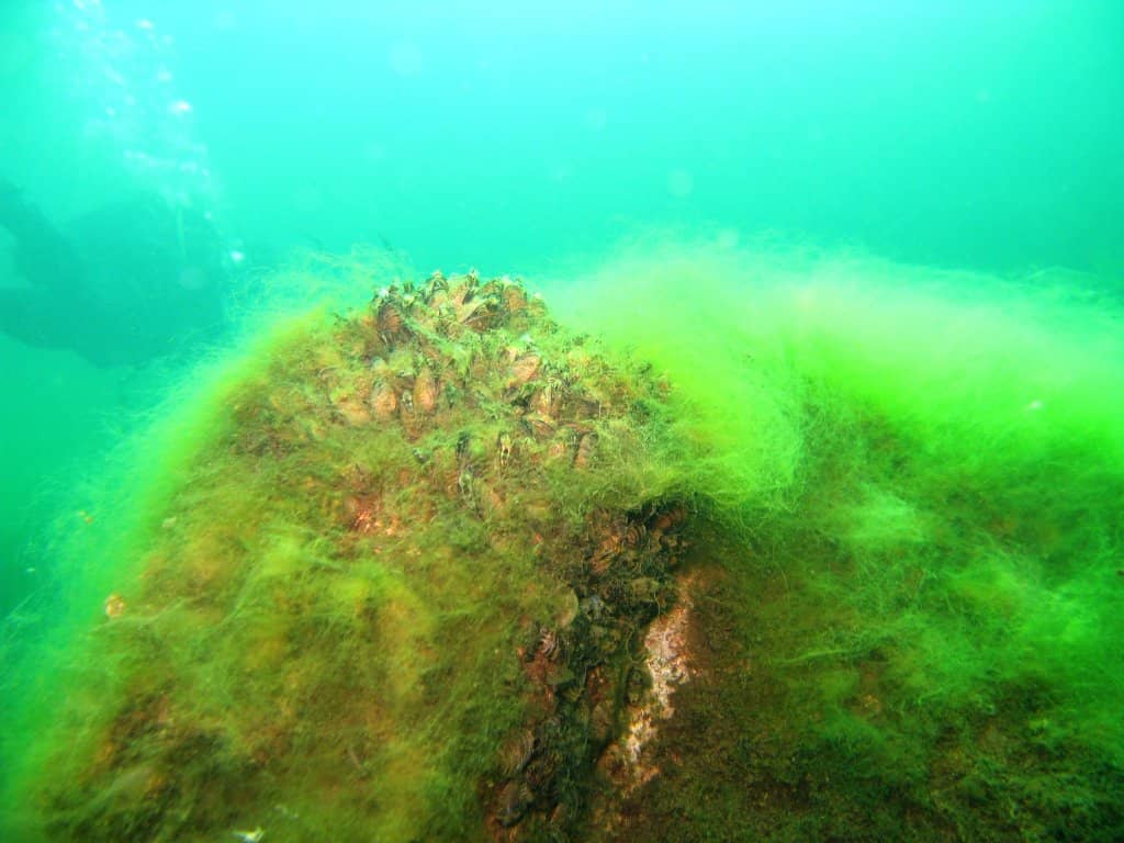 Crystal Clear Lagoon