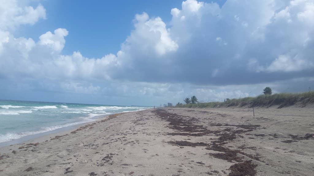 Oceanfront Beach Bliss