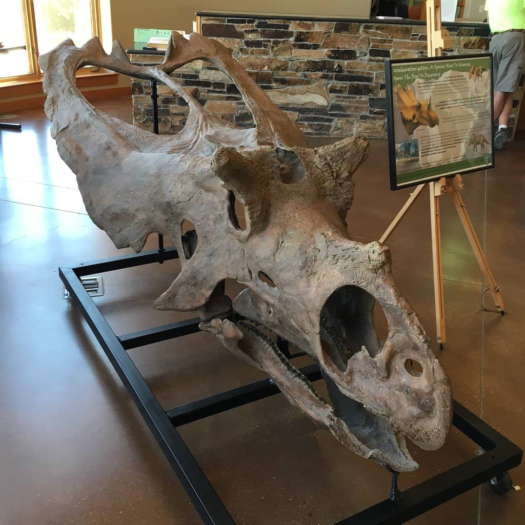 Spectacular Scenic Views