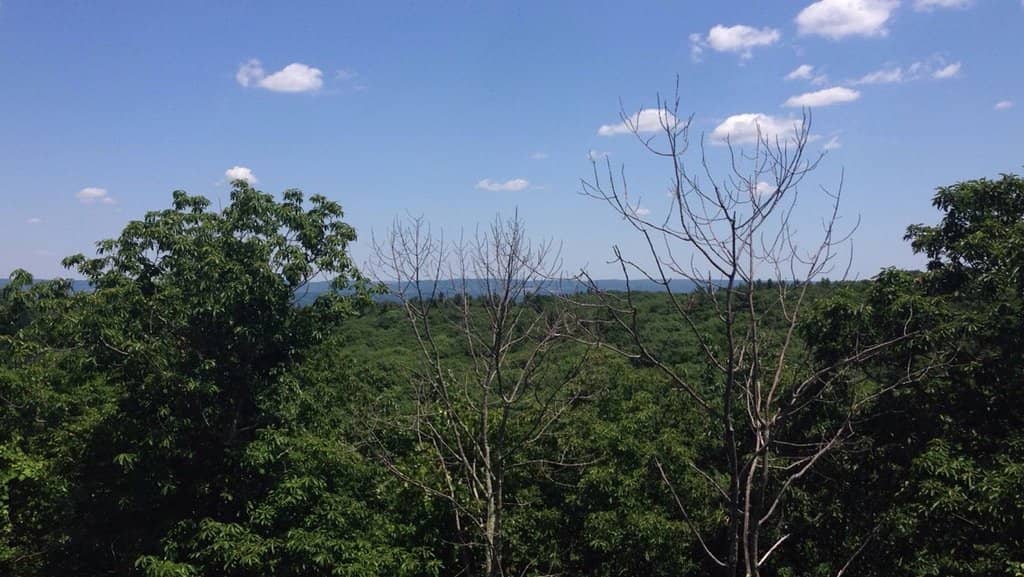 Challenging Blue Trail