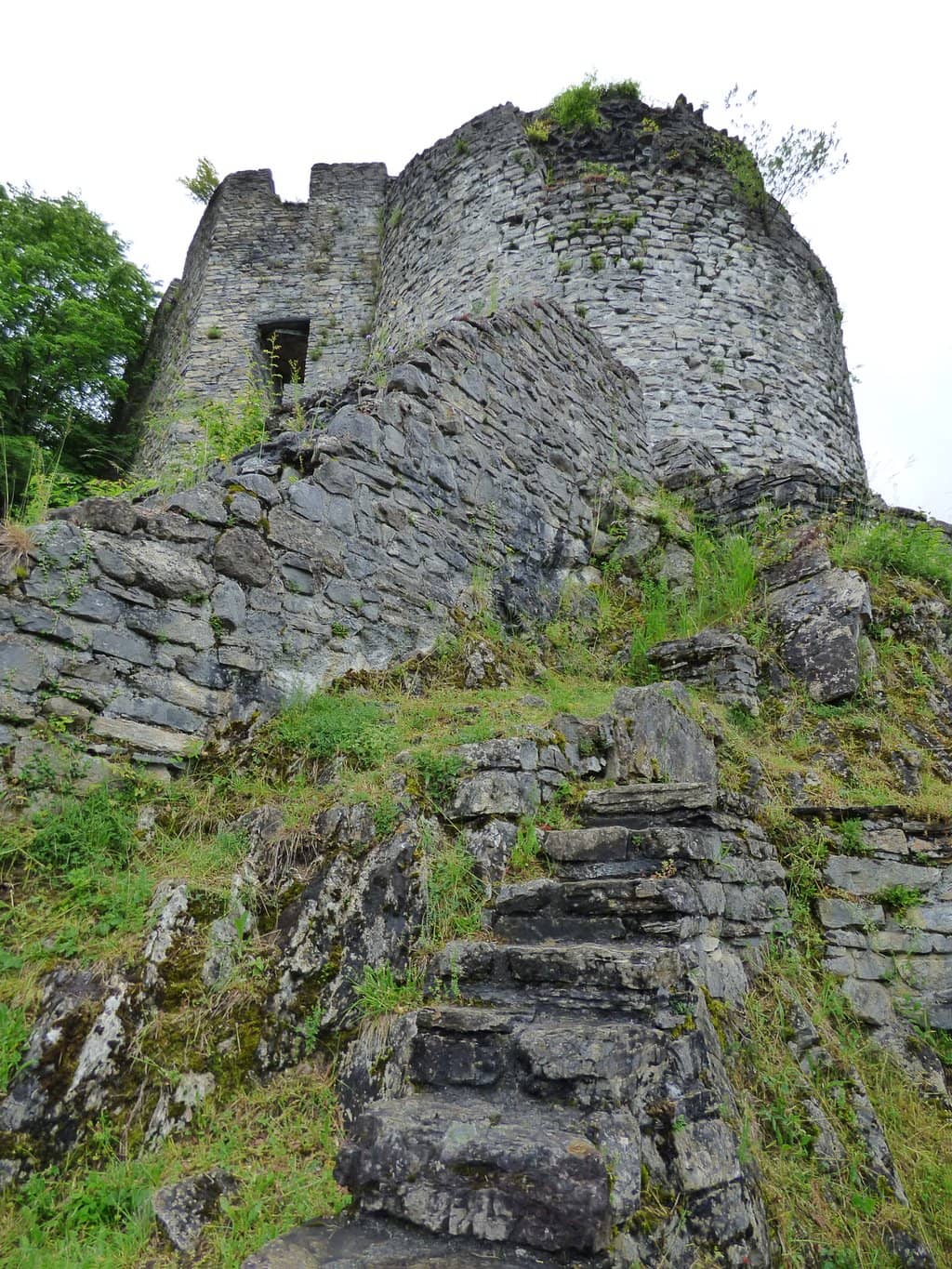 Vertical photo