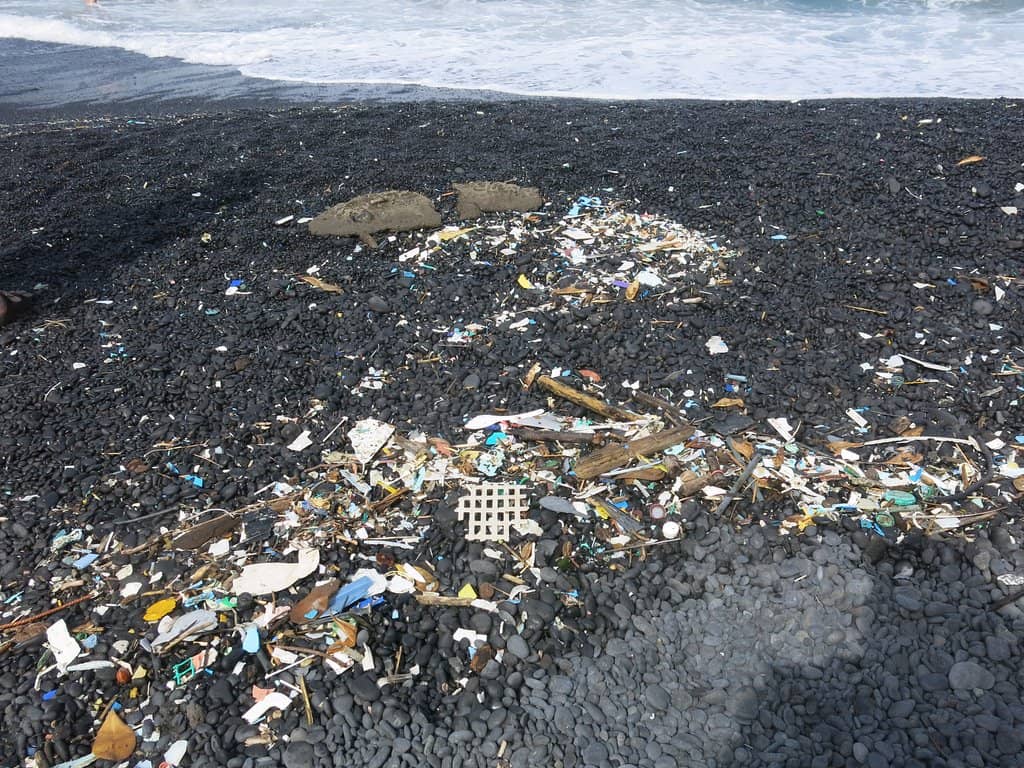 Lava Tubes and Caves