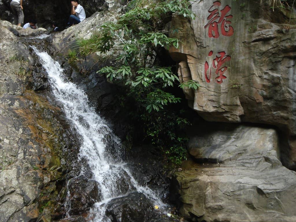 Vertical photo