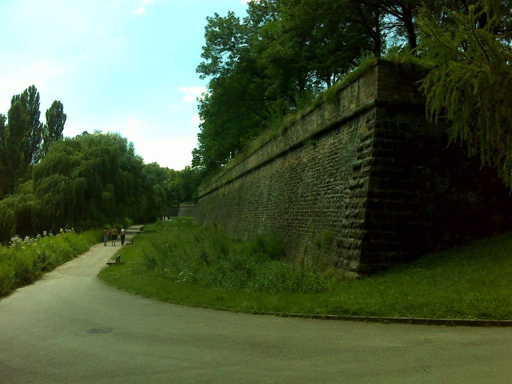 Canal and Willow Trees