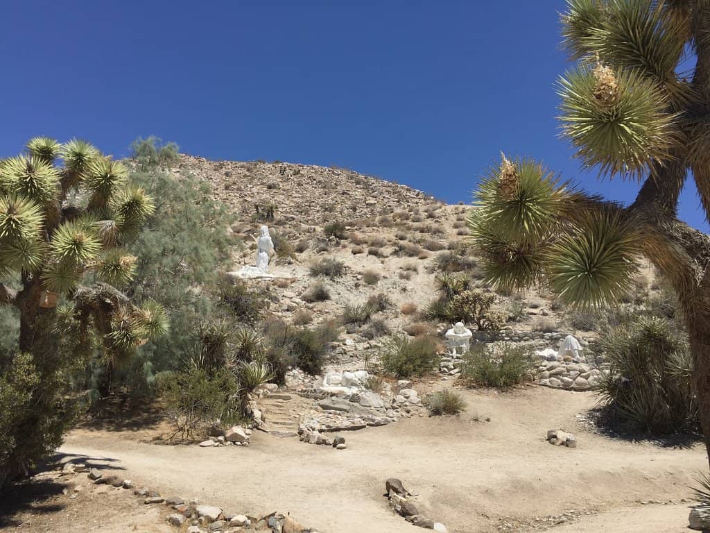 Desert Vistas