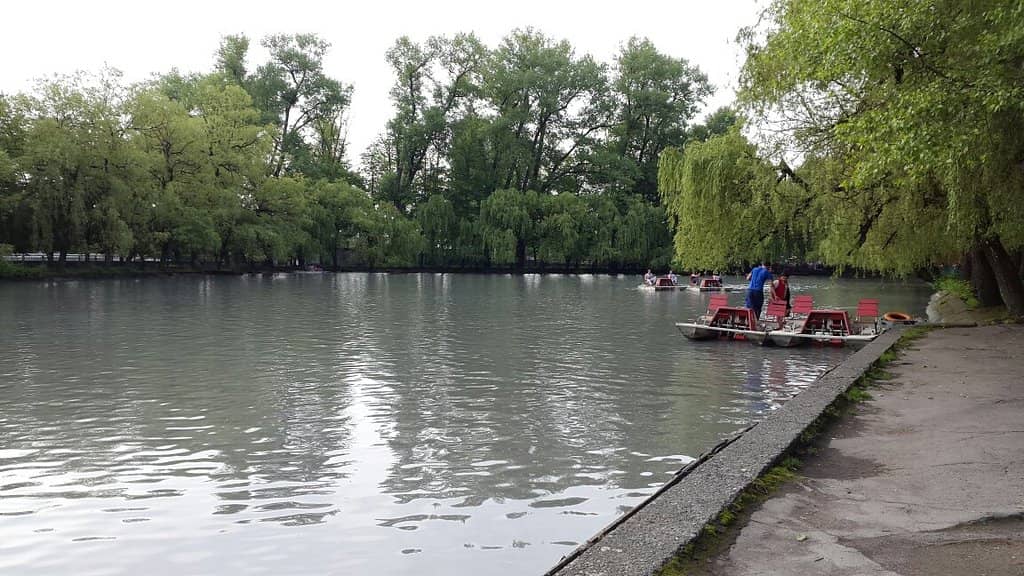 Terek River Views