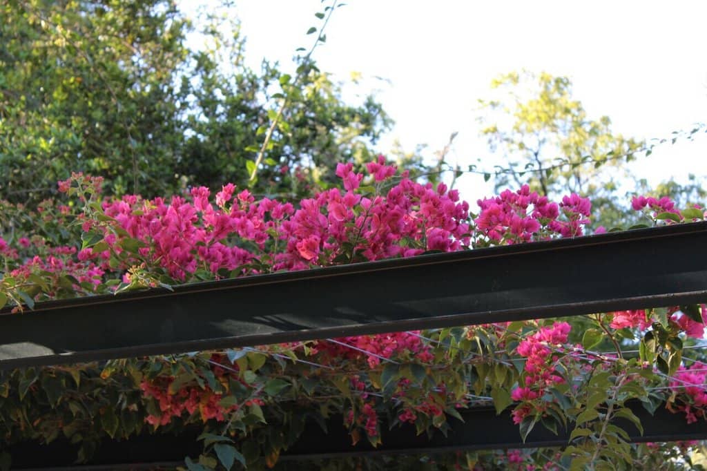 Wedding Photo Hotspot