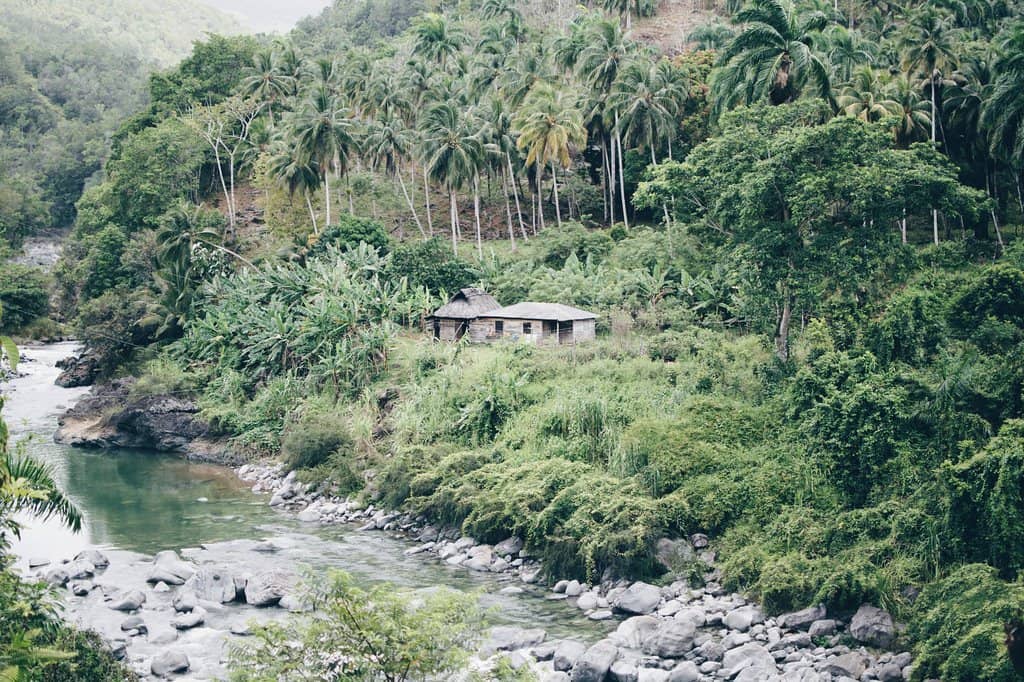 Tropical Rainforest Trails