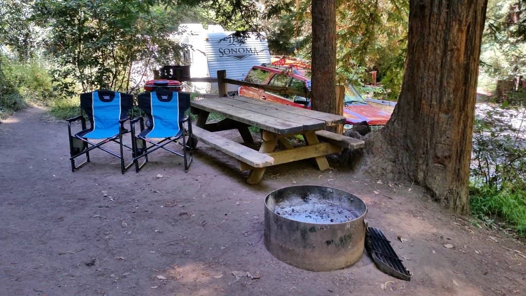 Lagunitas Creek Salmon Run