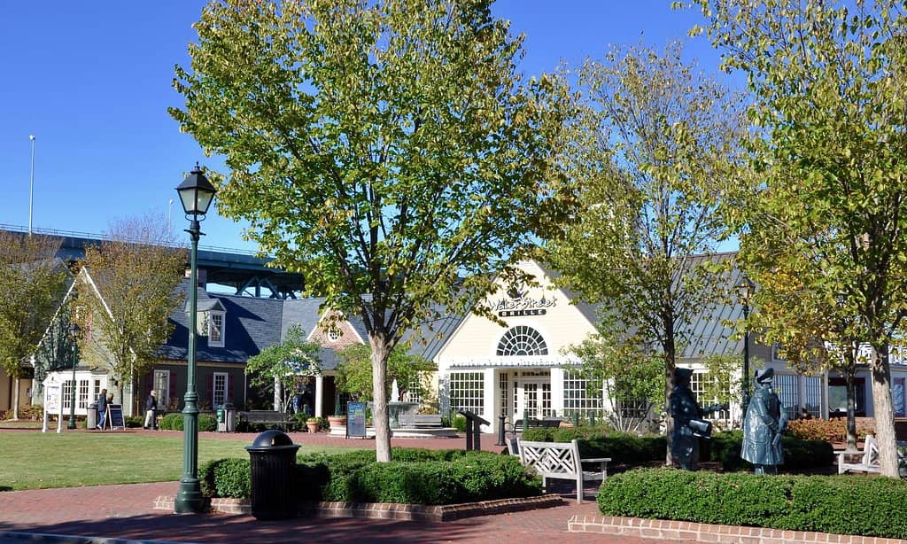 Waterfront Dining