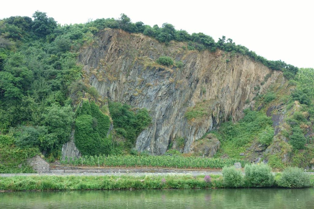 Roman Coin Collection