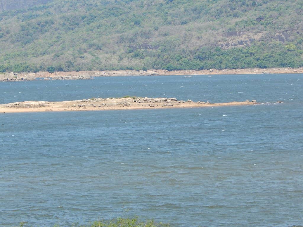 Nature Bathing Experience
