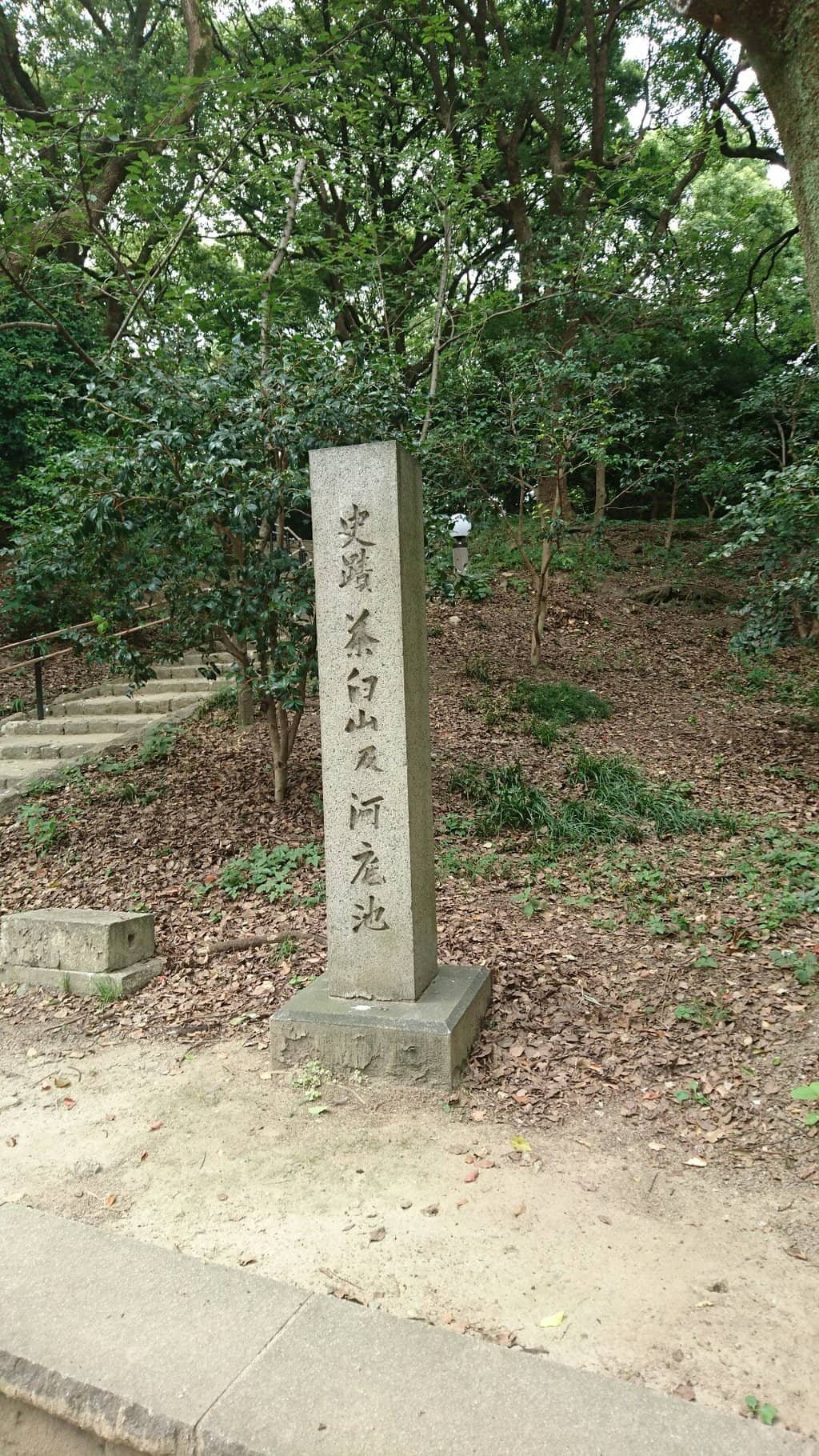 Vertical photo
