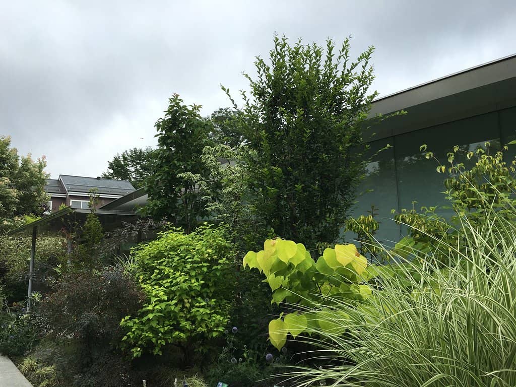 Serene Garden Courtyards