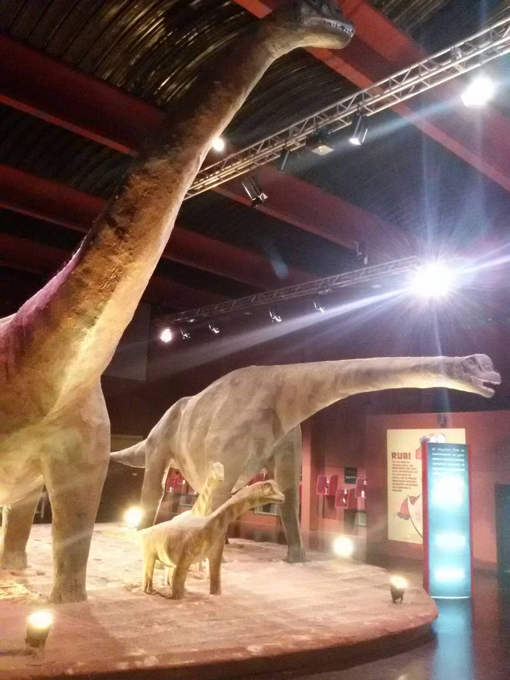 Local Fossil Exhibits