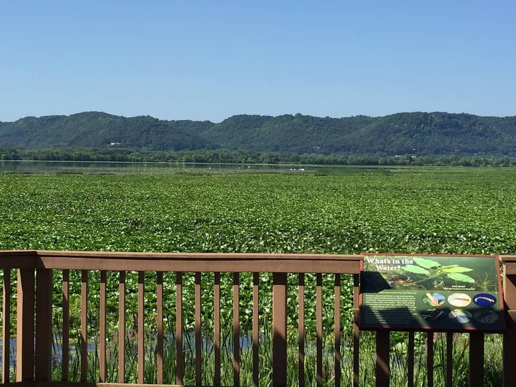 Wildlife Observation Deck