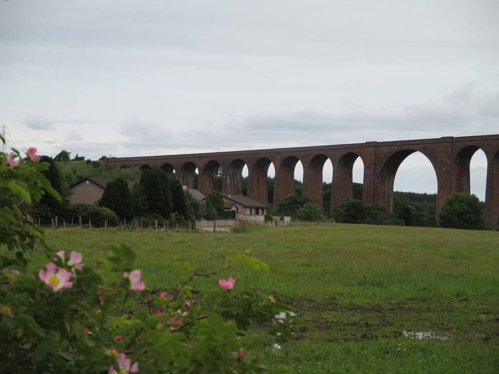 Golden Hour Spectacle