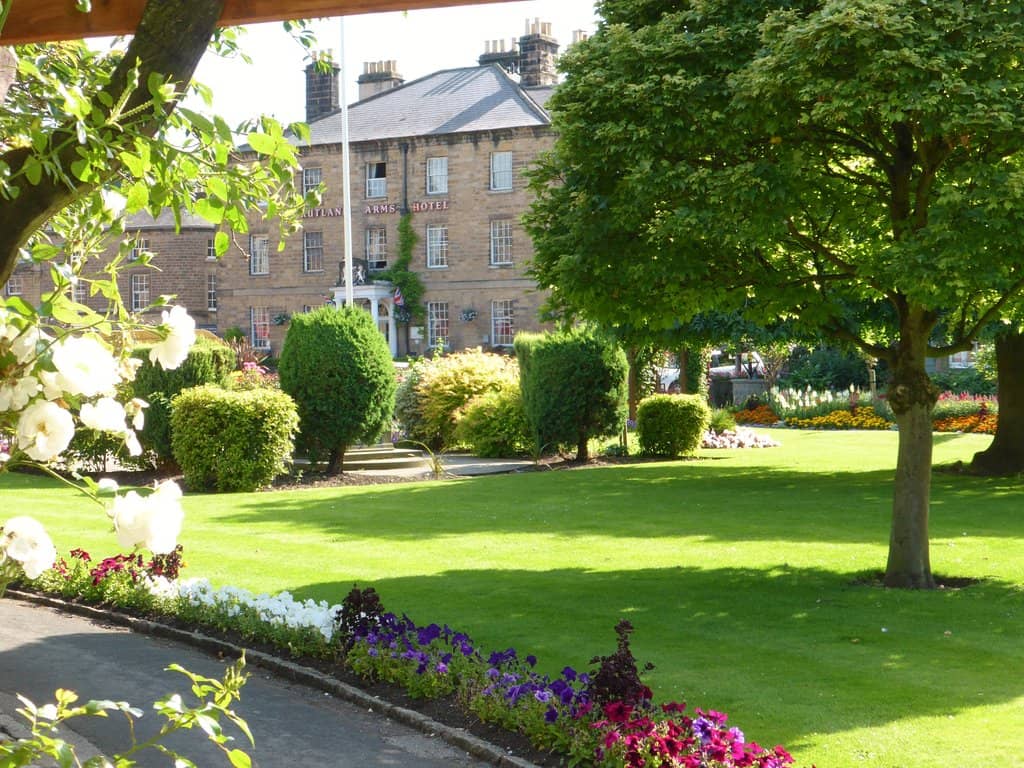 Tranquil Lawn Areas