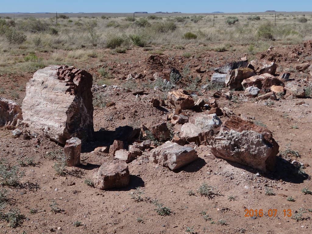 Select Pre-Excavated Pieces