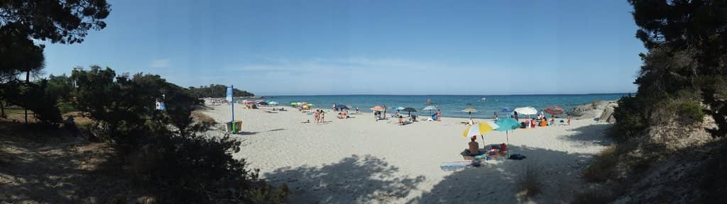 Beach Bistro Delights