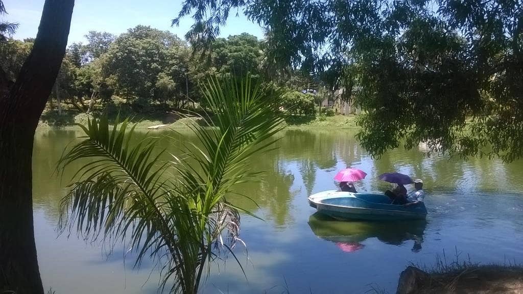 Serene Park Grounds