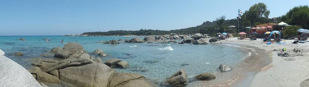 Abundant Marine Life