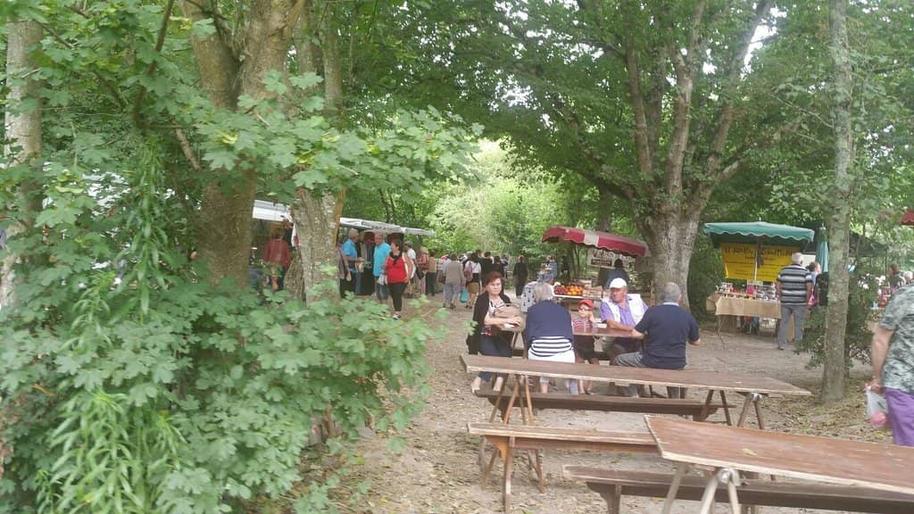Local Cafe Terrace