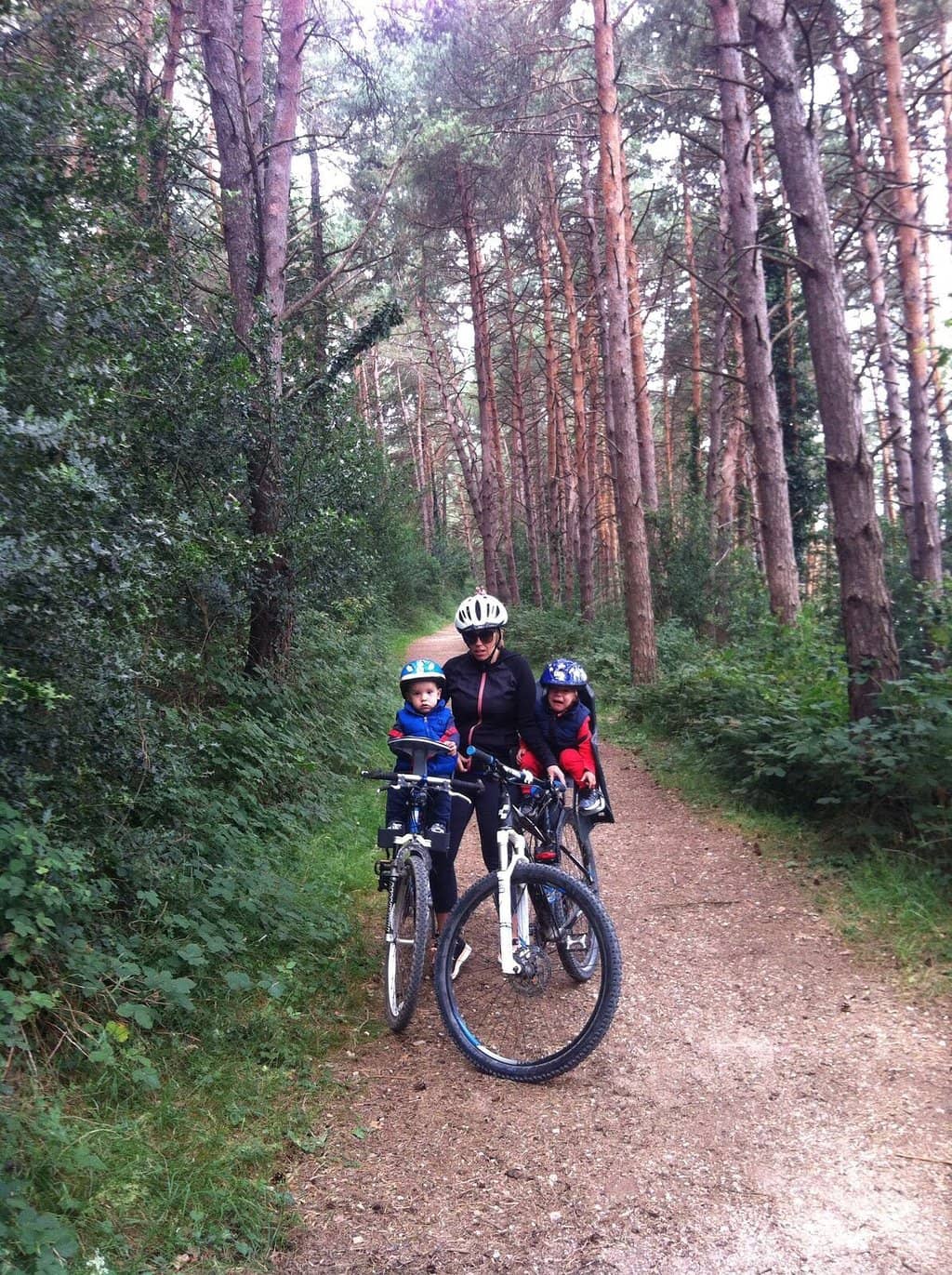 Vertical photo