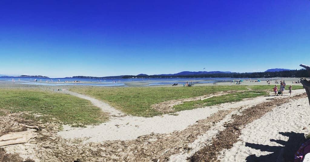 Lush Forested Campground