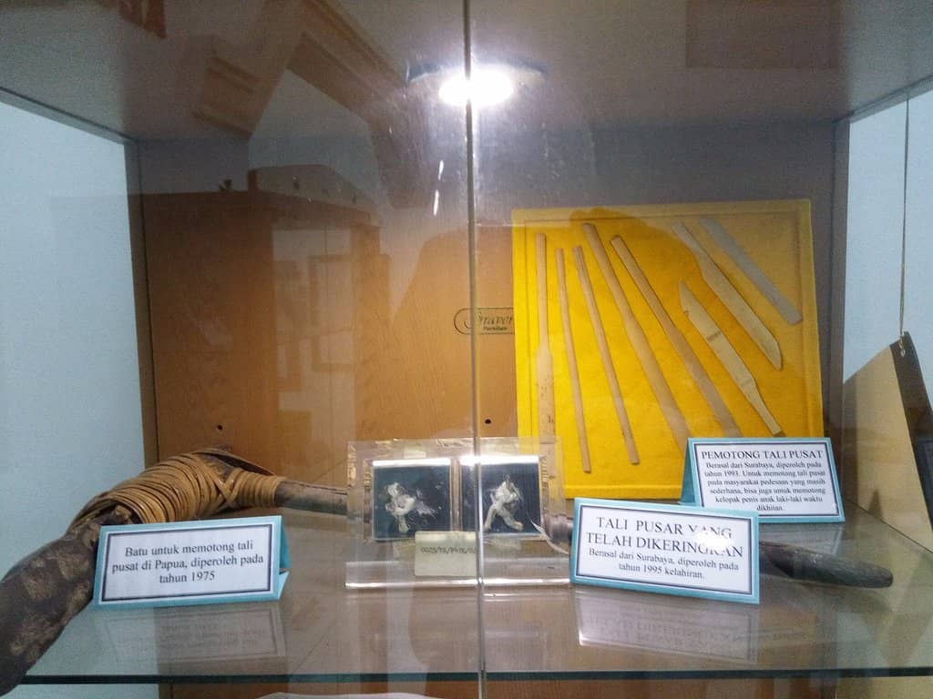 Traditional Healing & Ethnic Medicine