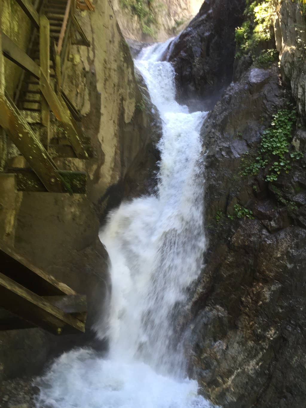 Vertical photo