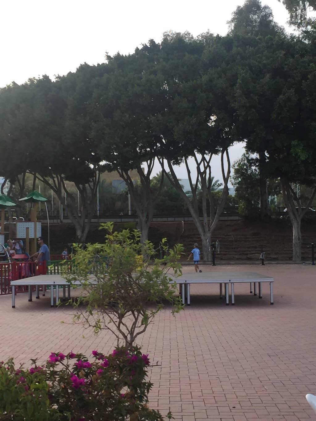 Adult Fitness Equipment