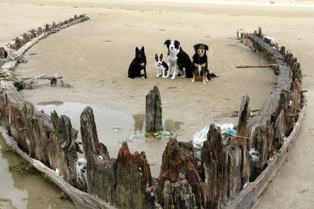 Woodland and Historic Trails