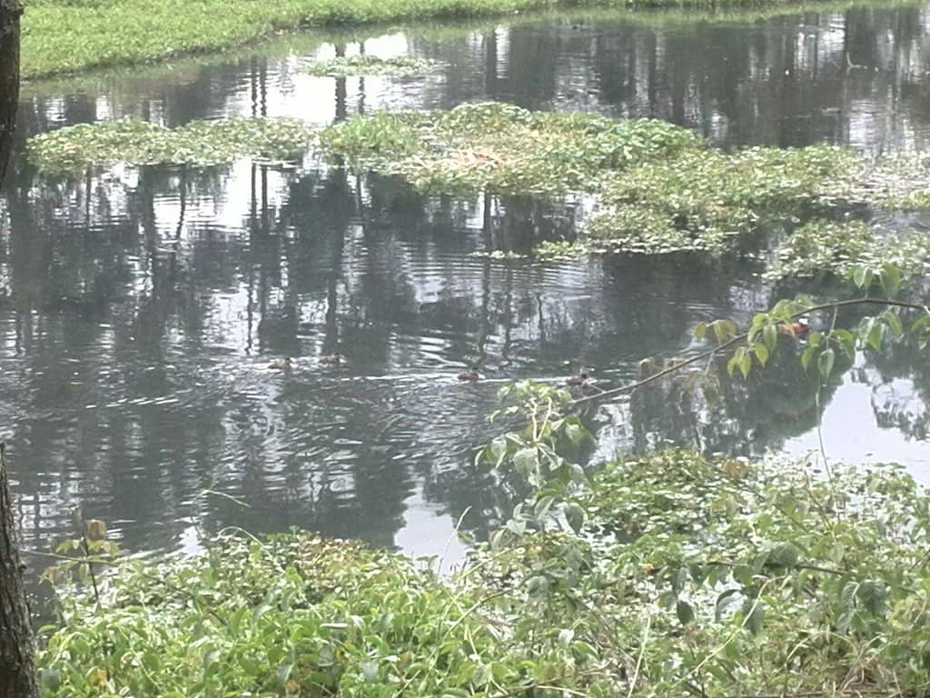 Birdwatching Paradise