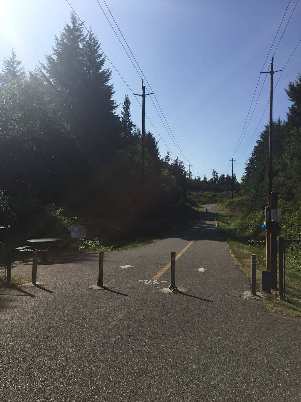 Tacoma Narrows Bridge Views