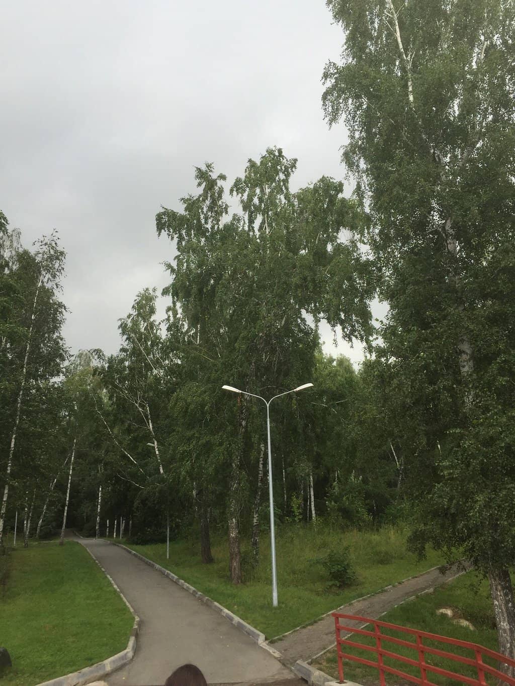 Bugrinskaya Roshcha Park