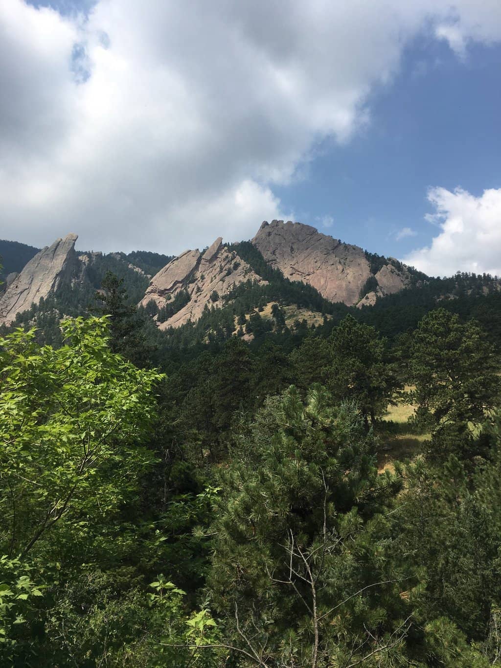 Enchanted Mesa & McClintock Nature Trail