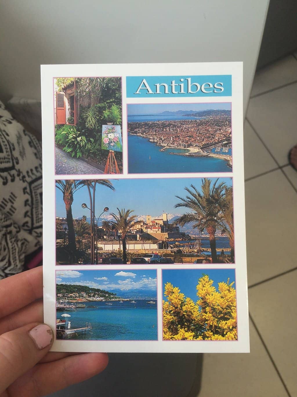 Château d'Amboise Vista