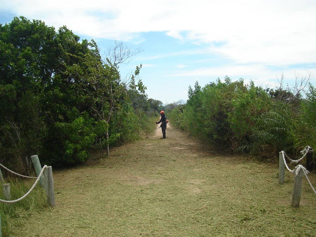 Restinga Forest Trails