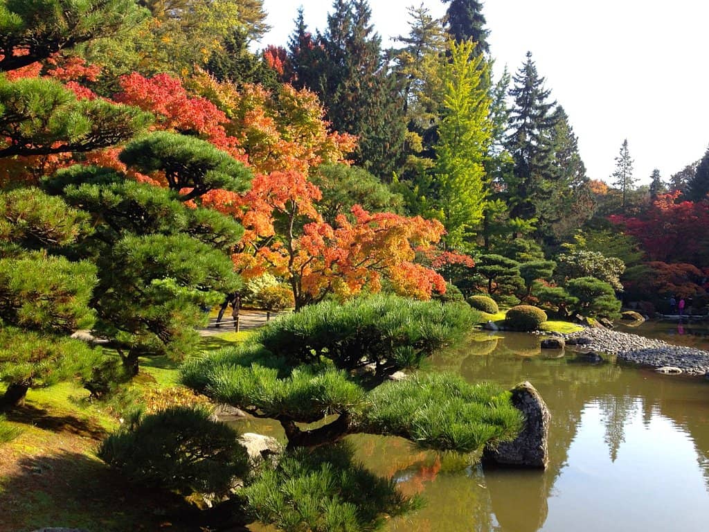 Tranquil Lake