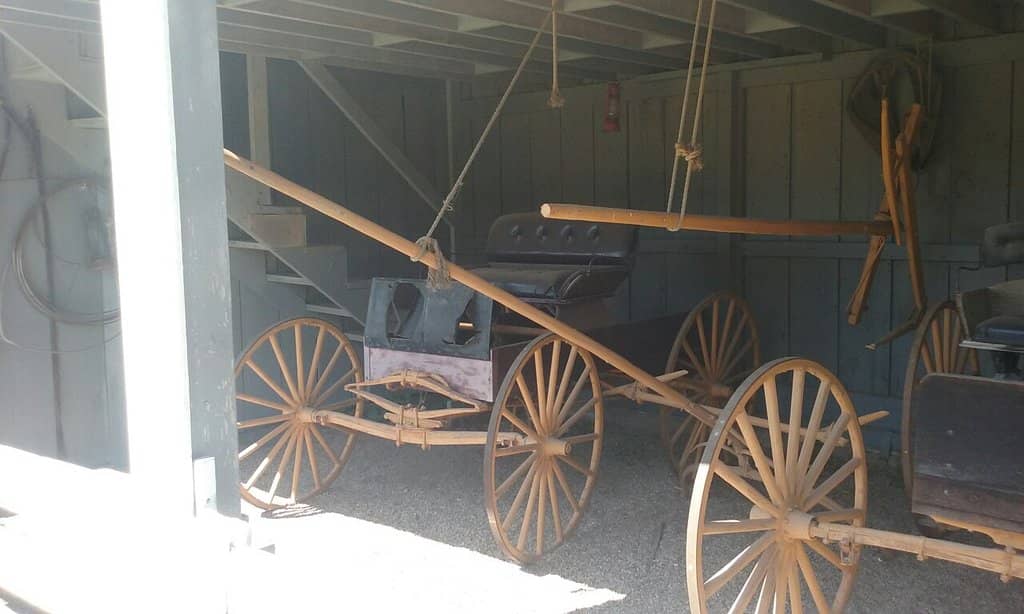 Highlights