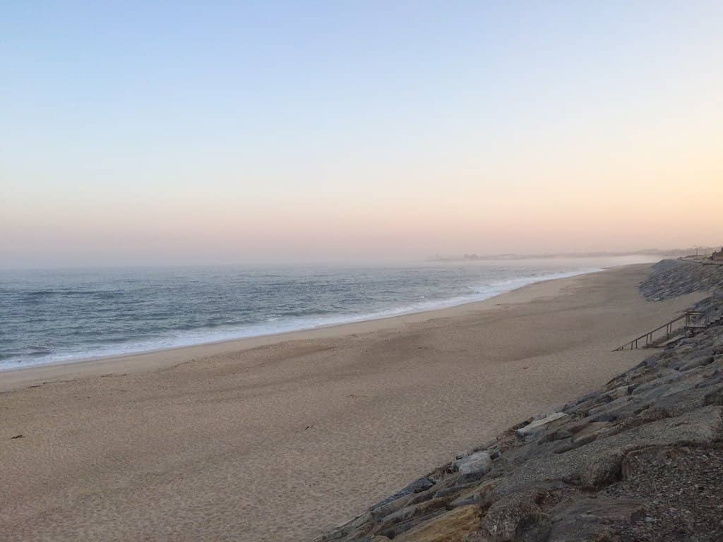 Bird Sanctuary Serenity