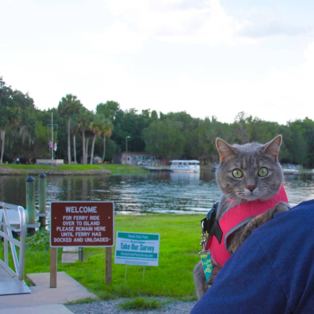 Wildlife Viewing