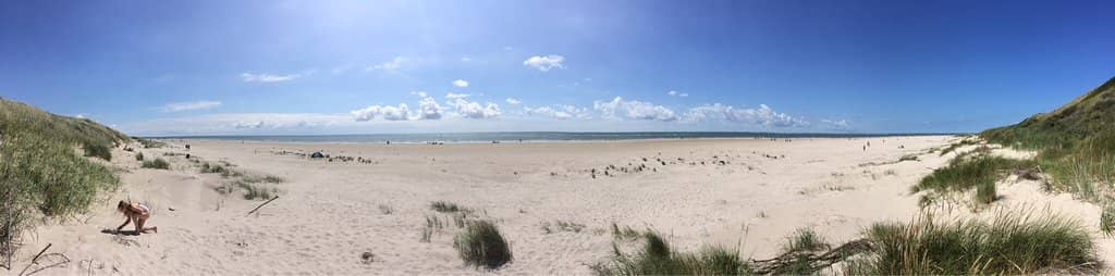 Expansive Sandy Shores