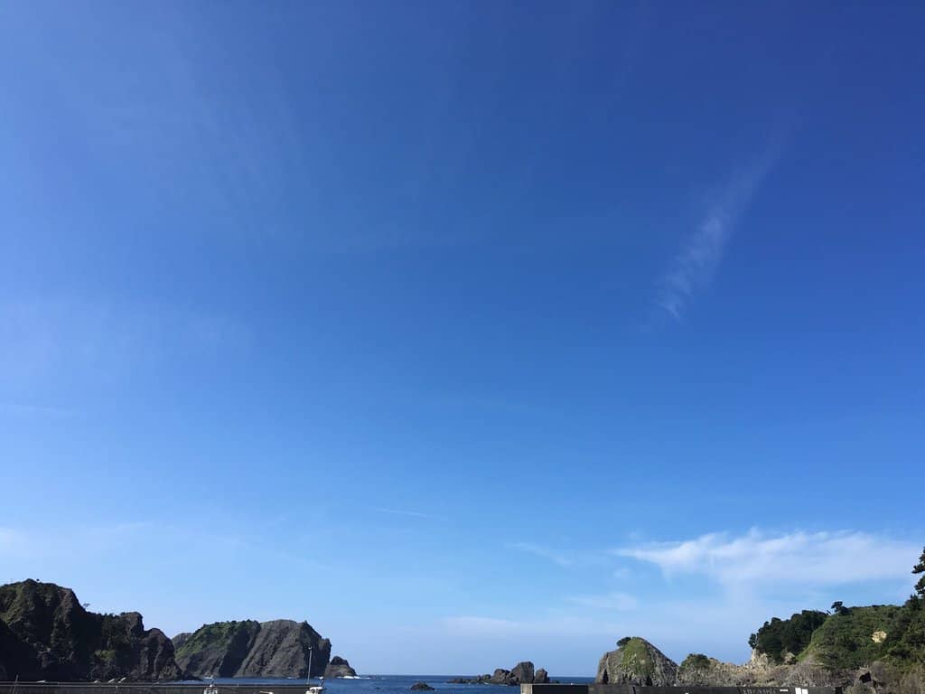 Abundant Tropical Fish